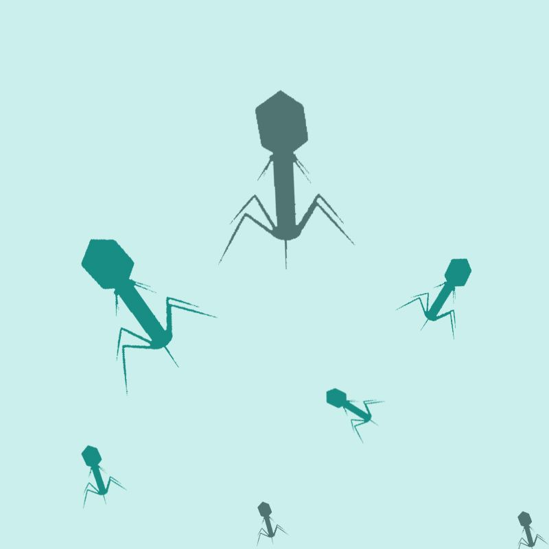 Phage Display Human Single-Domain Antibody Library Kit — product photograph